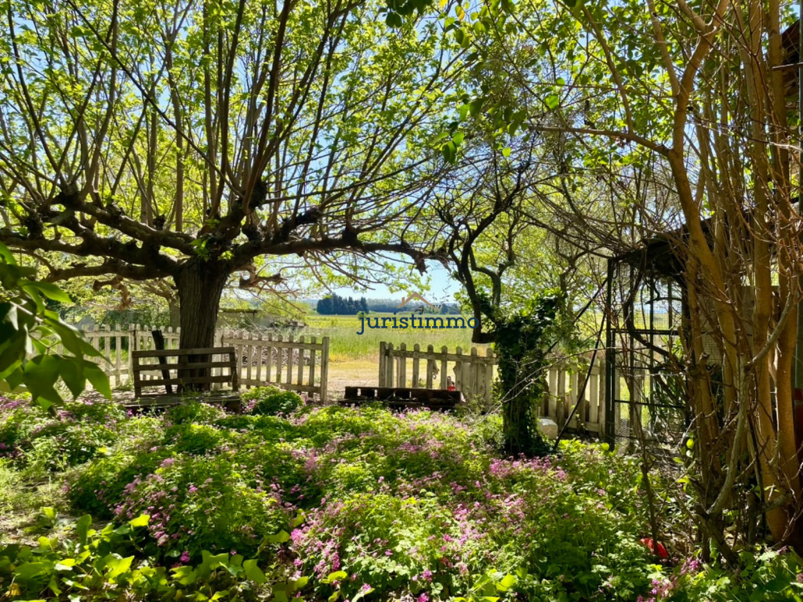 Image_2, Mas, Camaret-sur-Aigues, ref :766