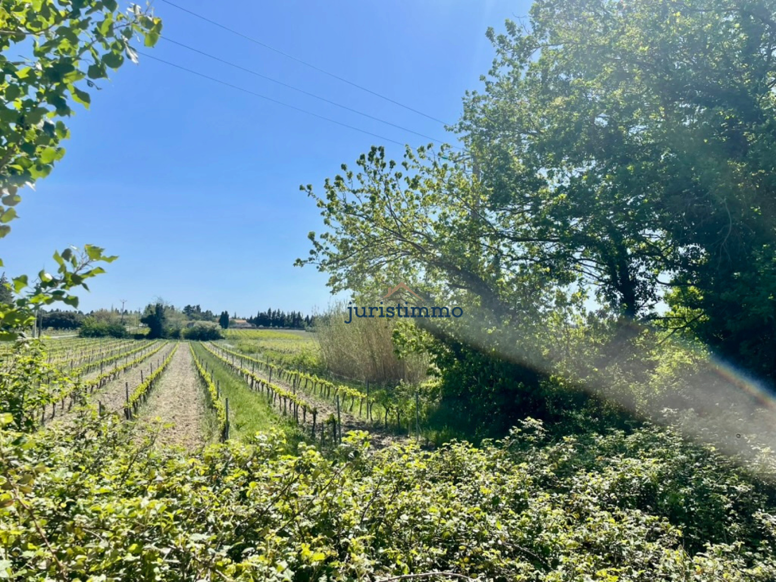 Image_17, Mas, Camaret-sur-Aigues, ref :766