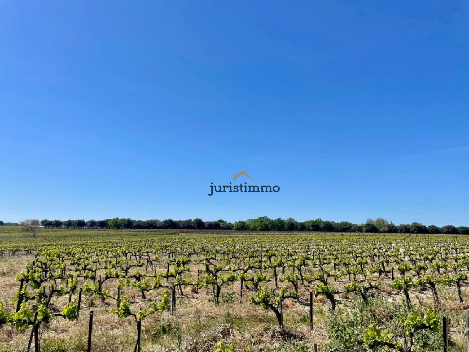 Image_20, Mas, Camaret-sur-Aigues, ref :766