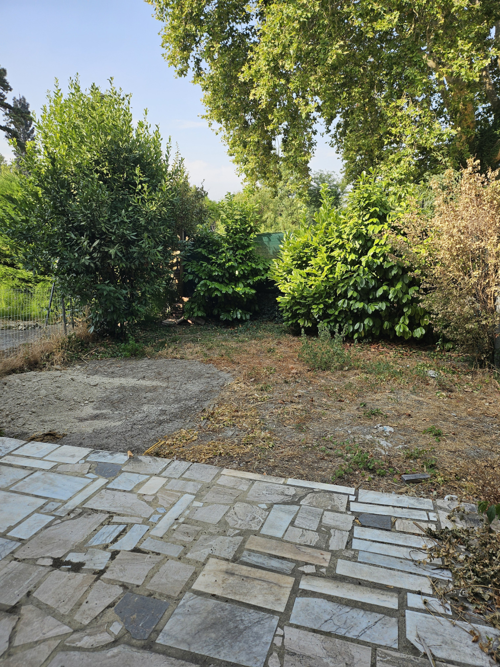 Image_5, Maison, Orange, ref :734