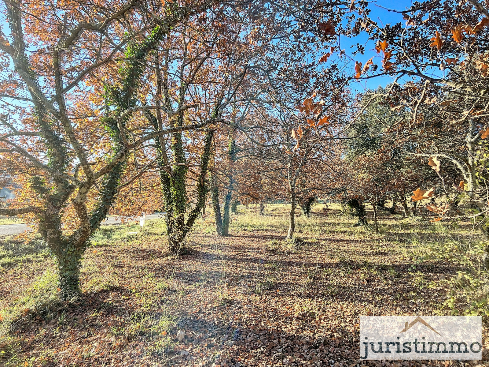 Image_2, Terrain, Entrechaux, ref :481