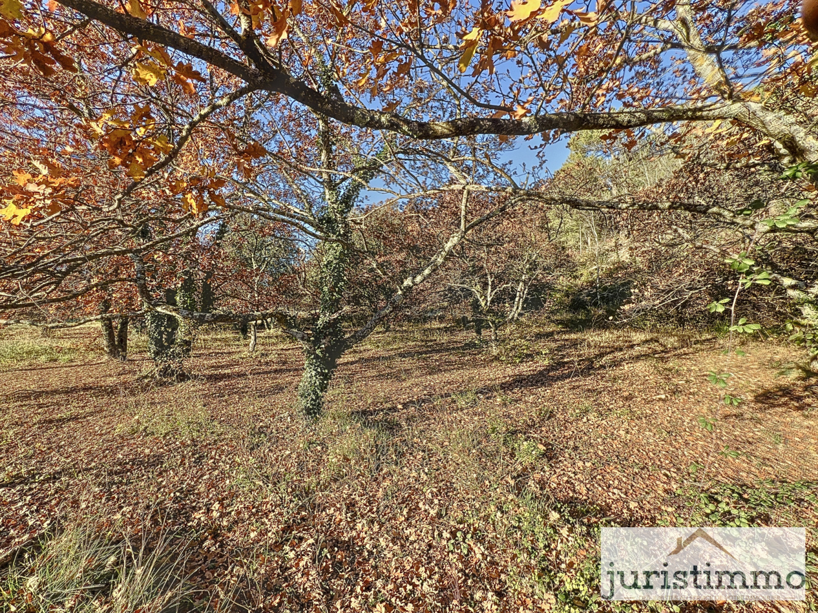 Image_6, Terrain, Entrechaux, ref :481