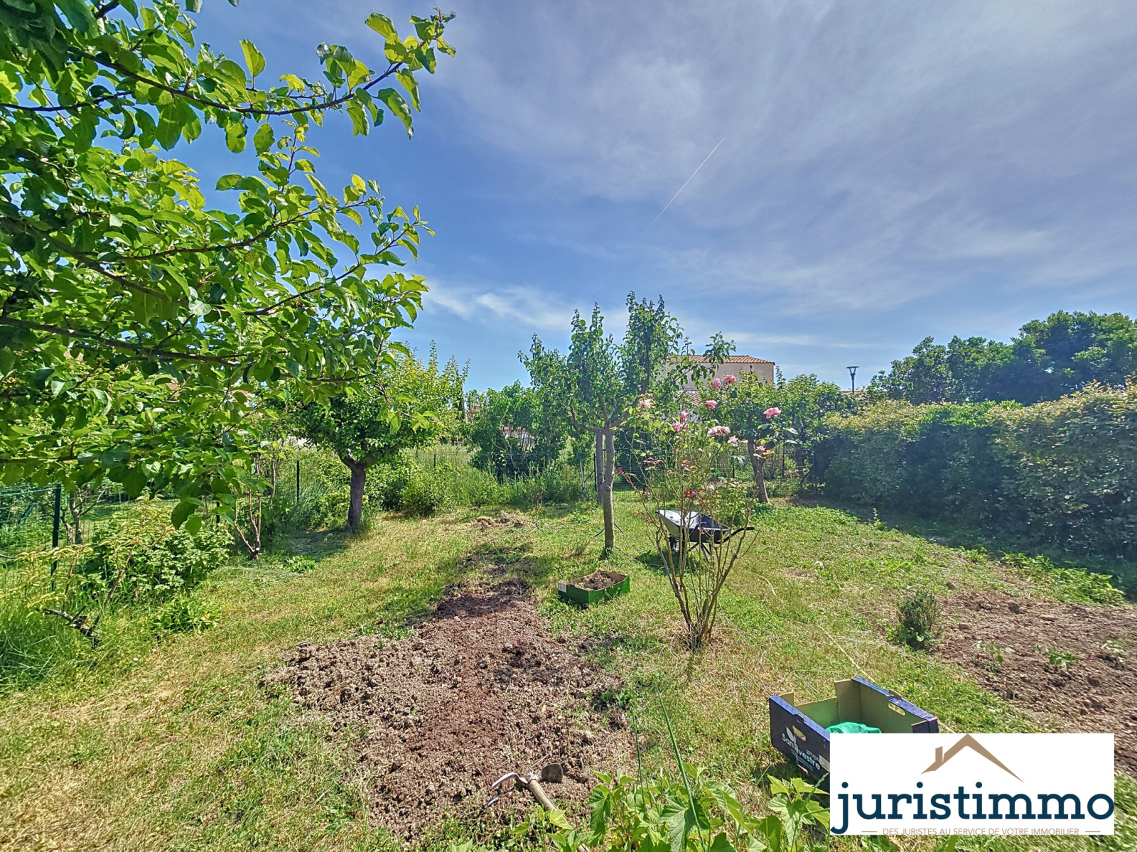 Image_23, Propriete, Camaret-sur-Aigues, ref :591