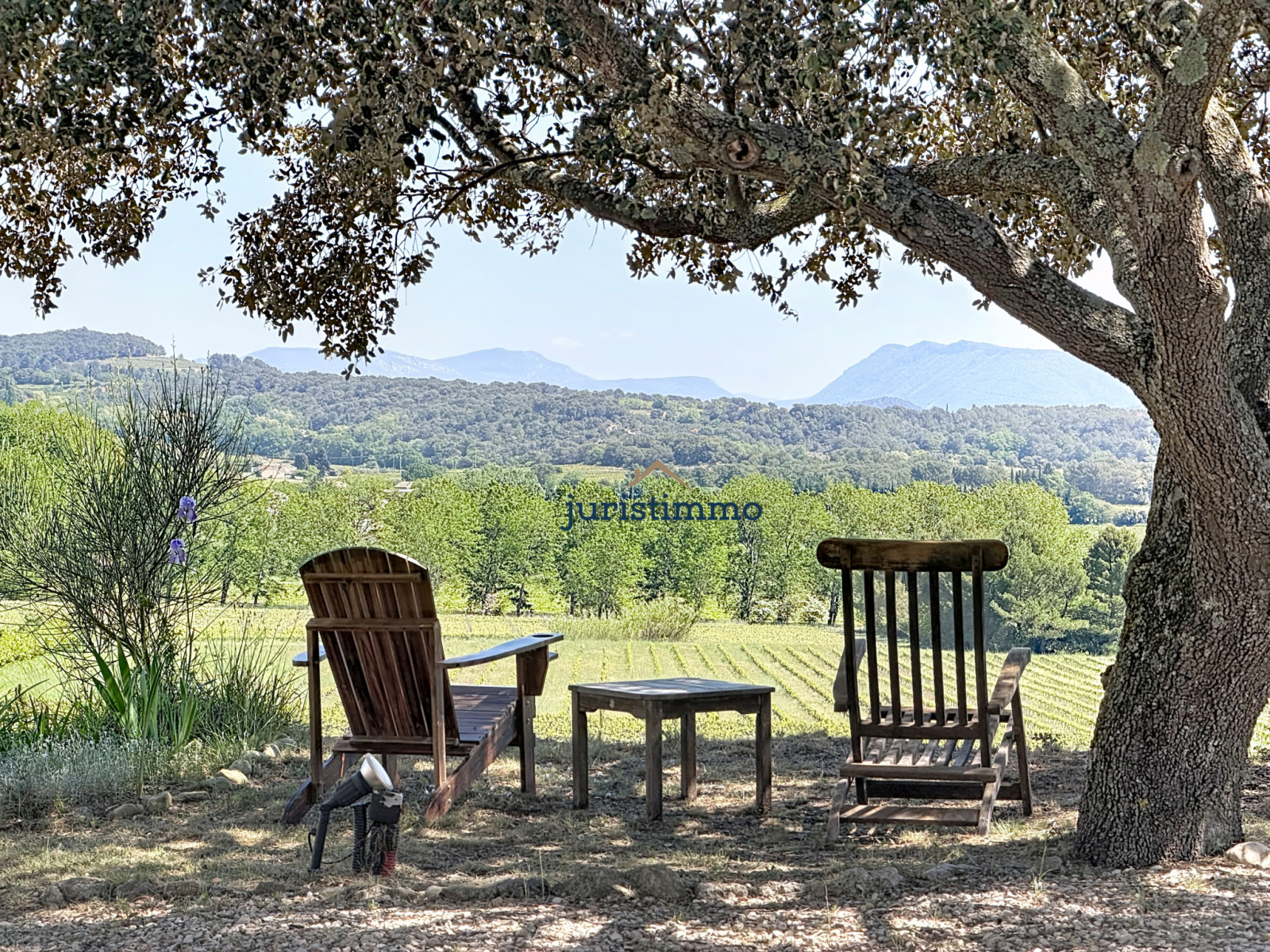 Image_1, Propriete, Vaison-la-Romaine, ref :774