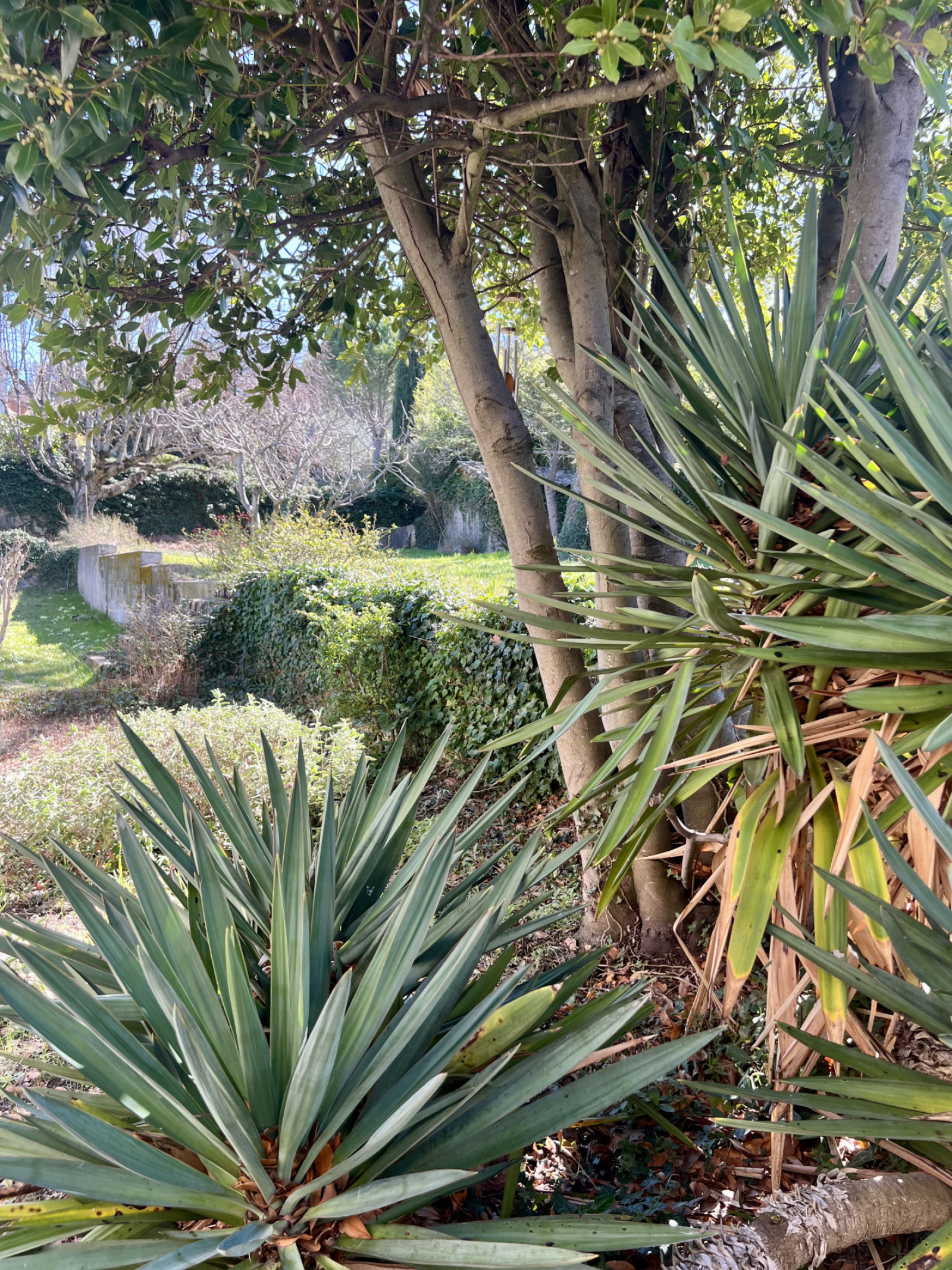 Image_26, Maison, Malaucène, ref :551