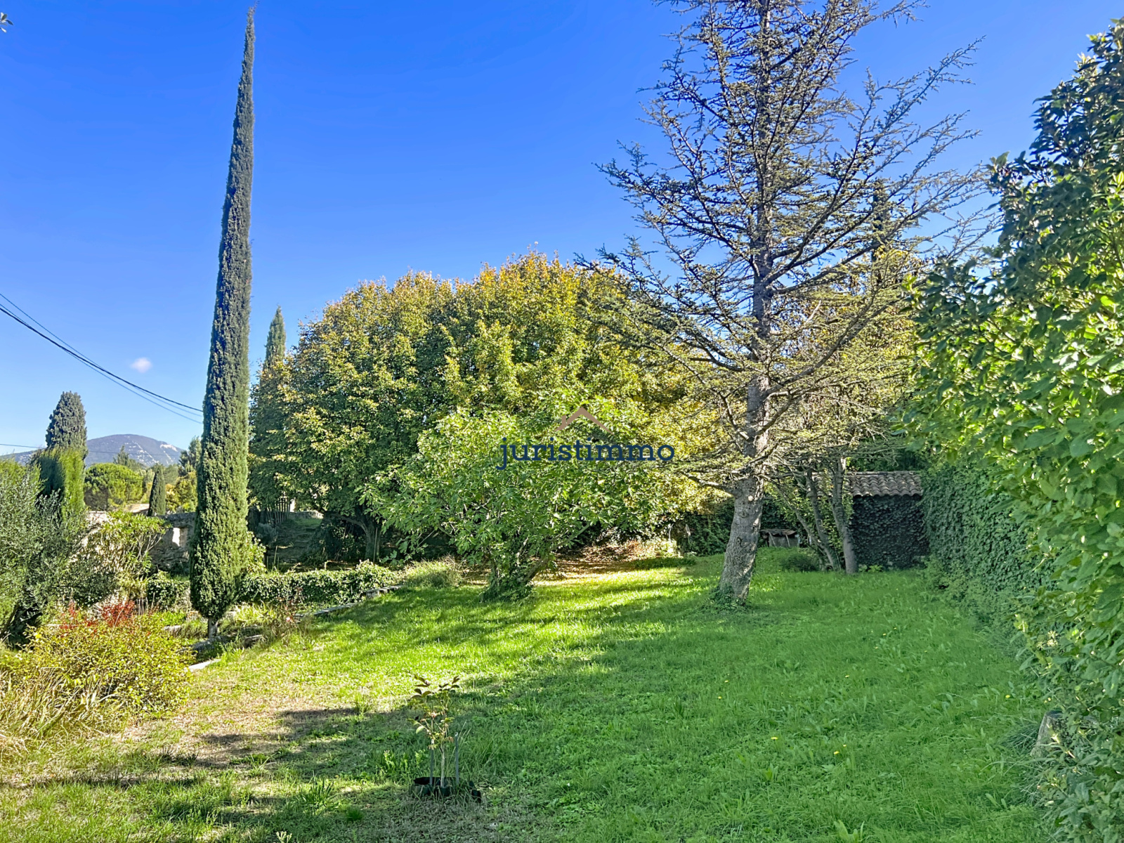 Image_30, Maison, Malaucène, ref :551