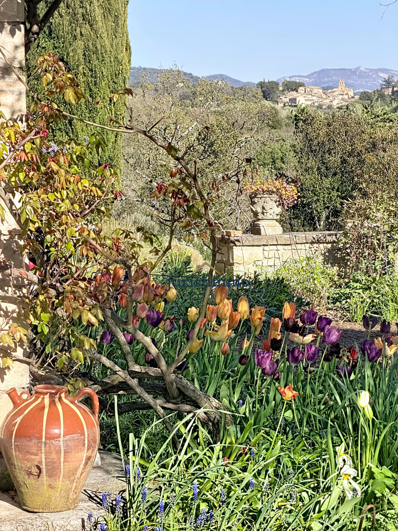 Image_12, Villa, Vaison-la-Romaine, ref :718