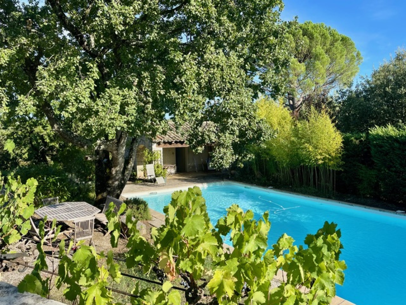 Image_6, Villa, Vaison-la-Romaine, ref :718