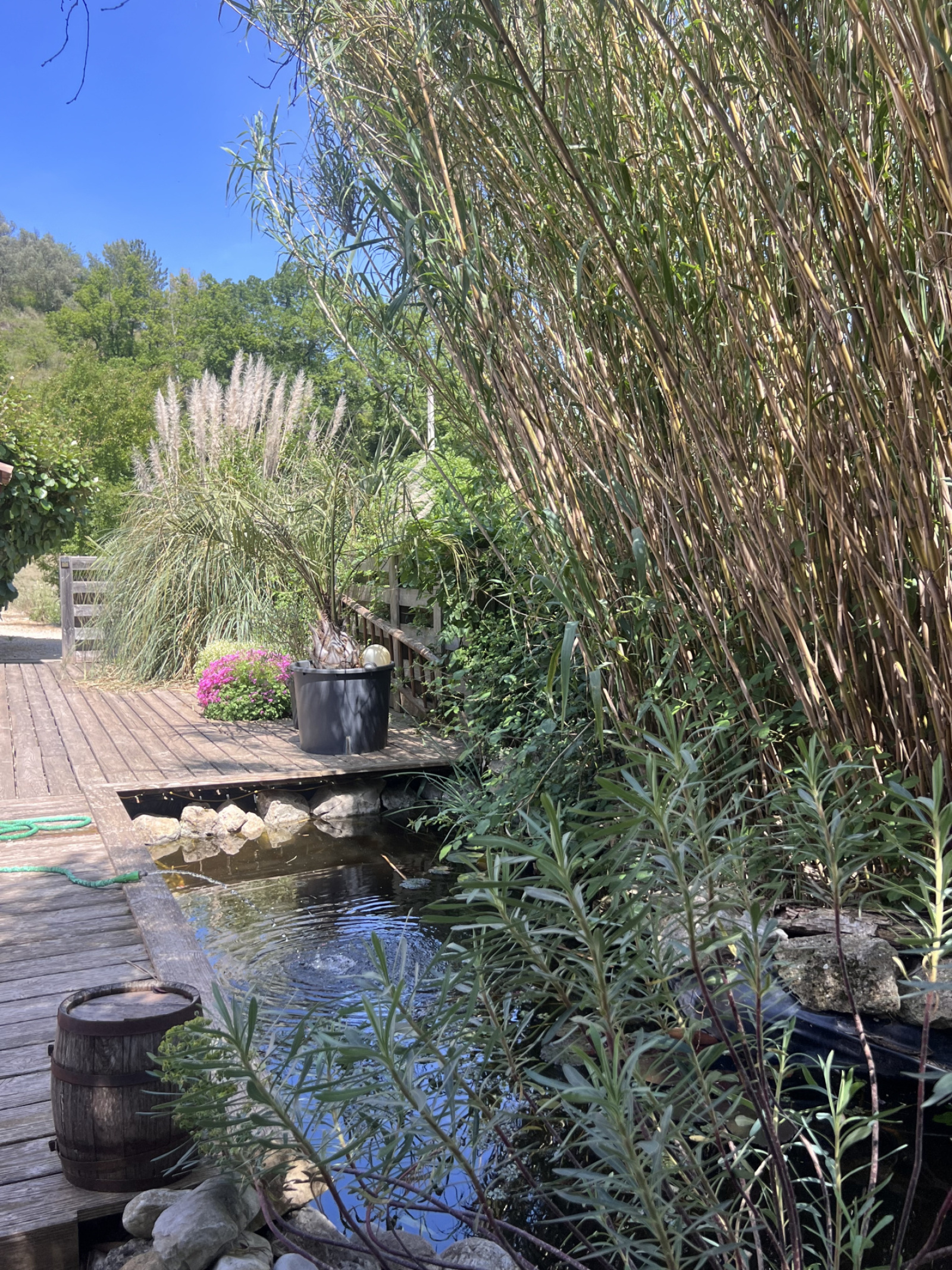 Image_21, Maison, Buis-les-Baronnies, ref :587