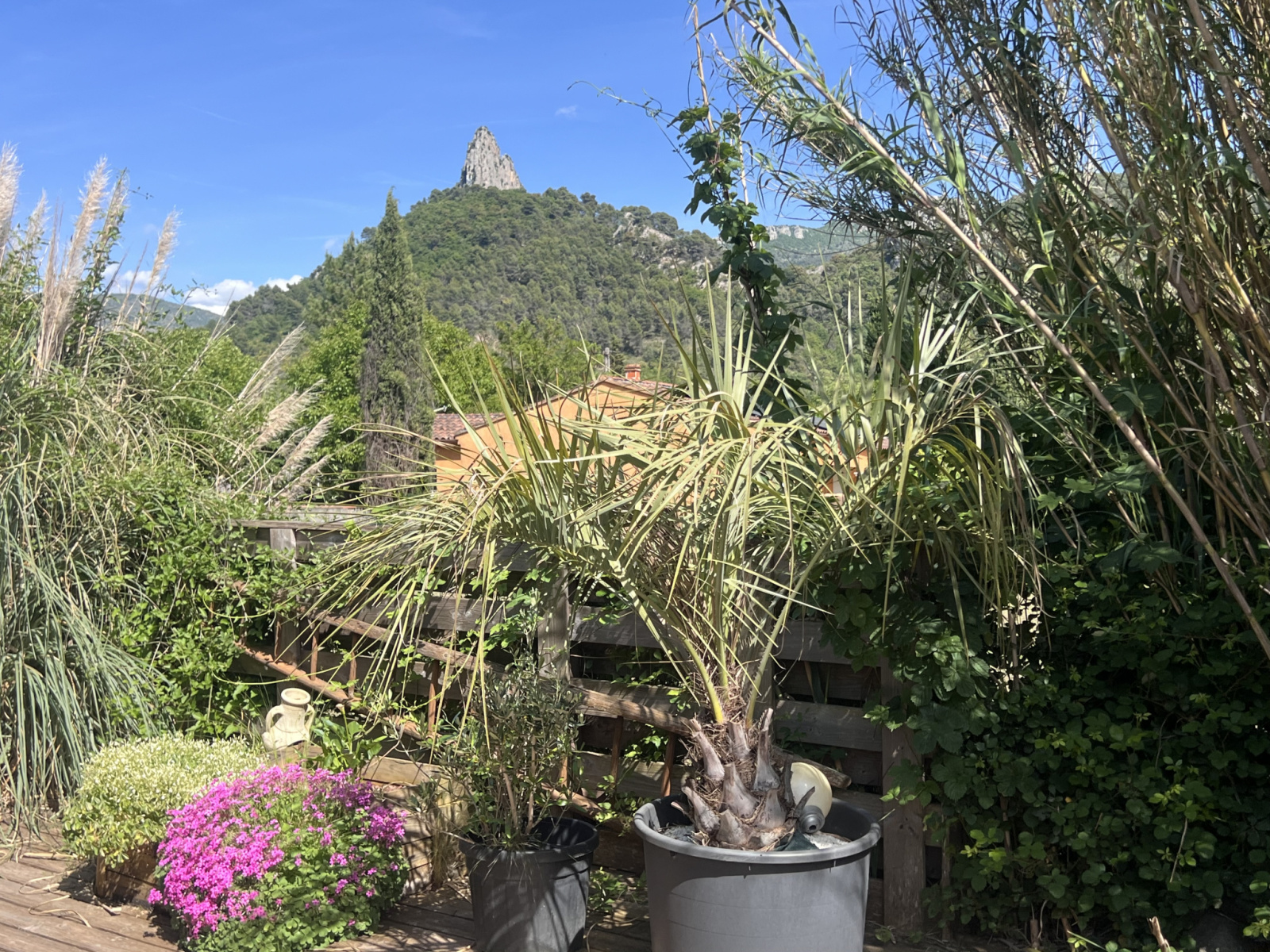 Image_22, Maison, Buis-les-Baronnies, ref :587