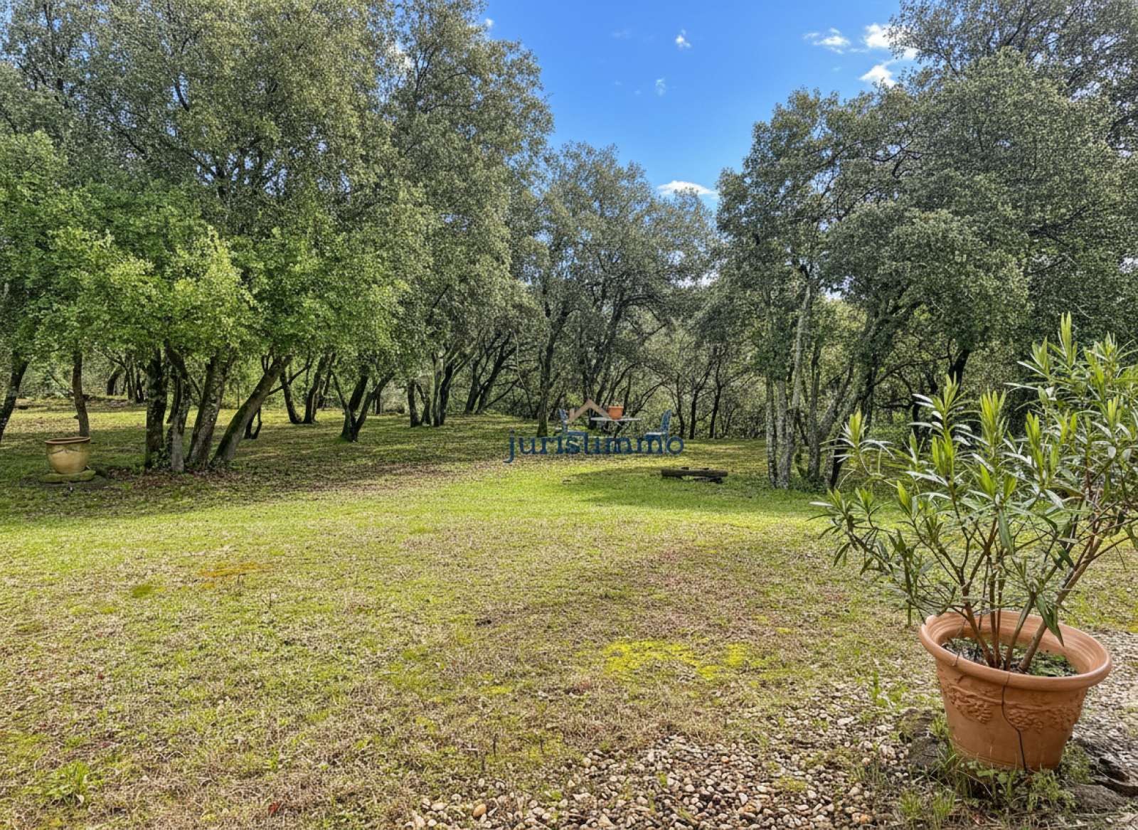 Image_22, Propriete, Suze-la-Rousse, ref :713