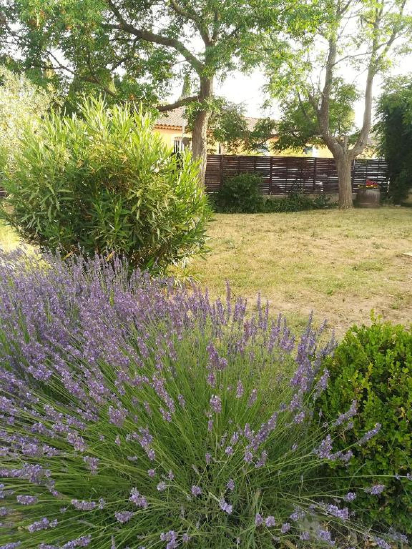 Image_19, Villa, Vaison-la-Romaine, ref :726