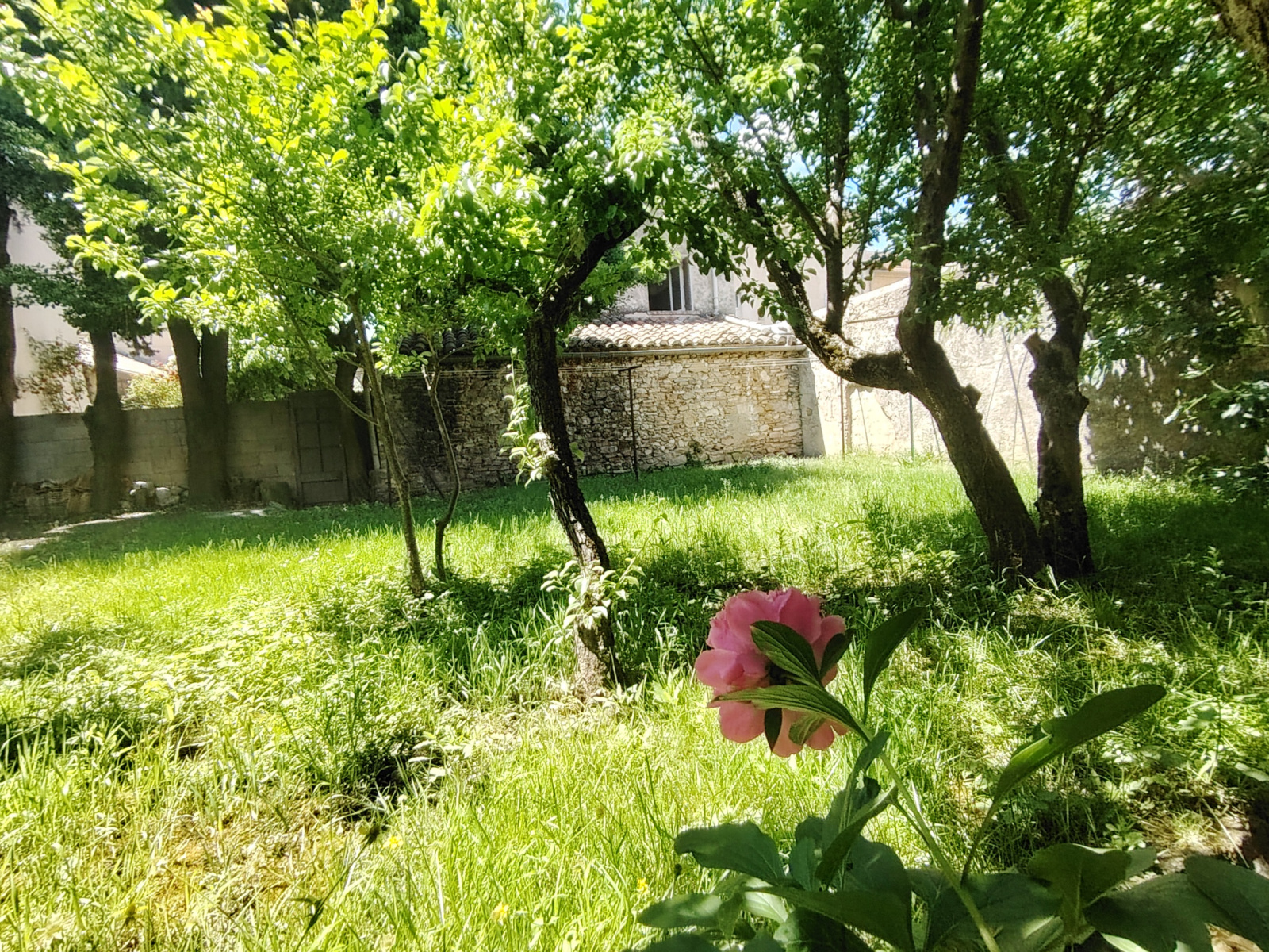 Image_1, Maison de village, Malaucène, ref :200226