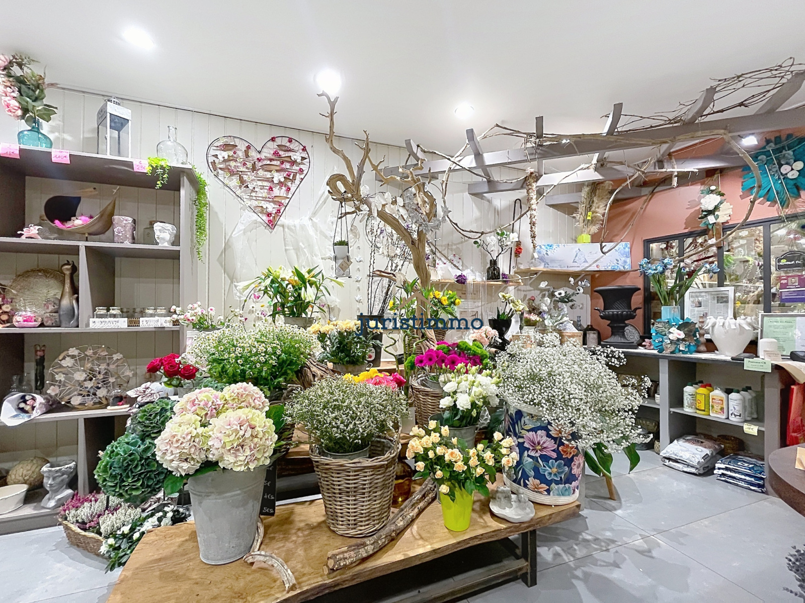 Image_2, Fonds de commerce, Nyons, ref :904