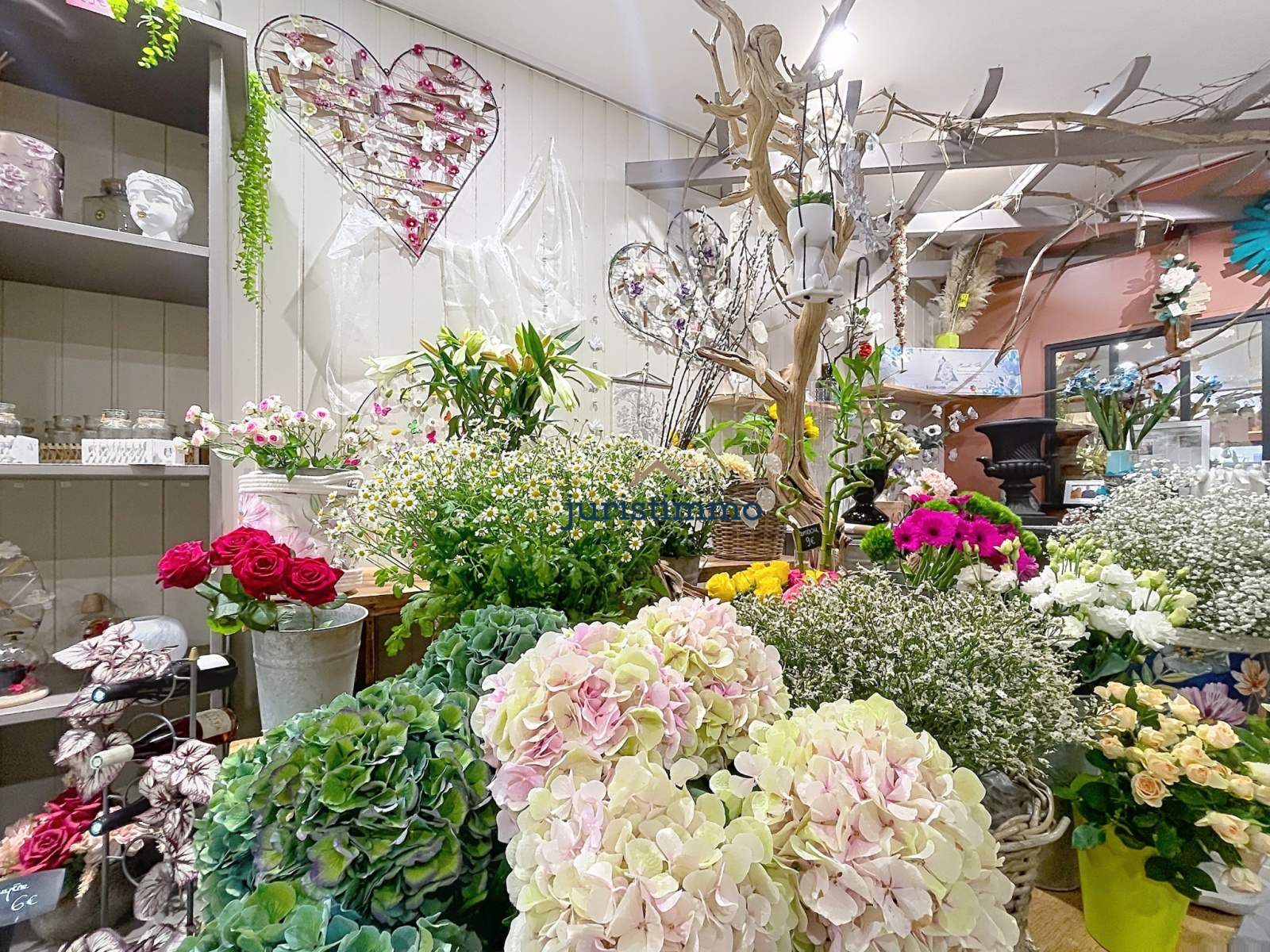 Image_3, Fonds de commerce, Nyons, ref :904