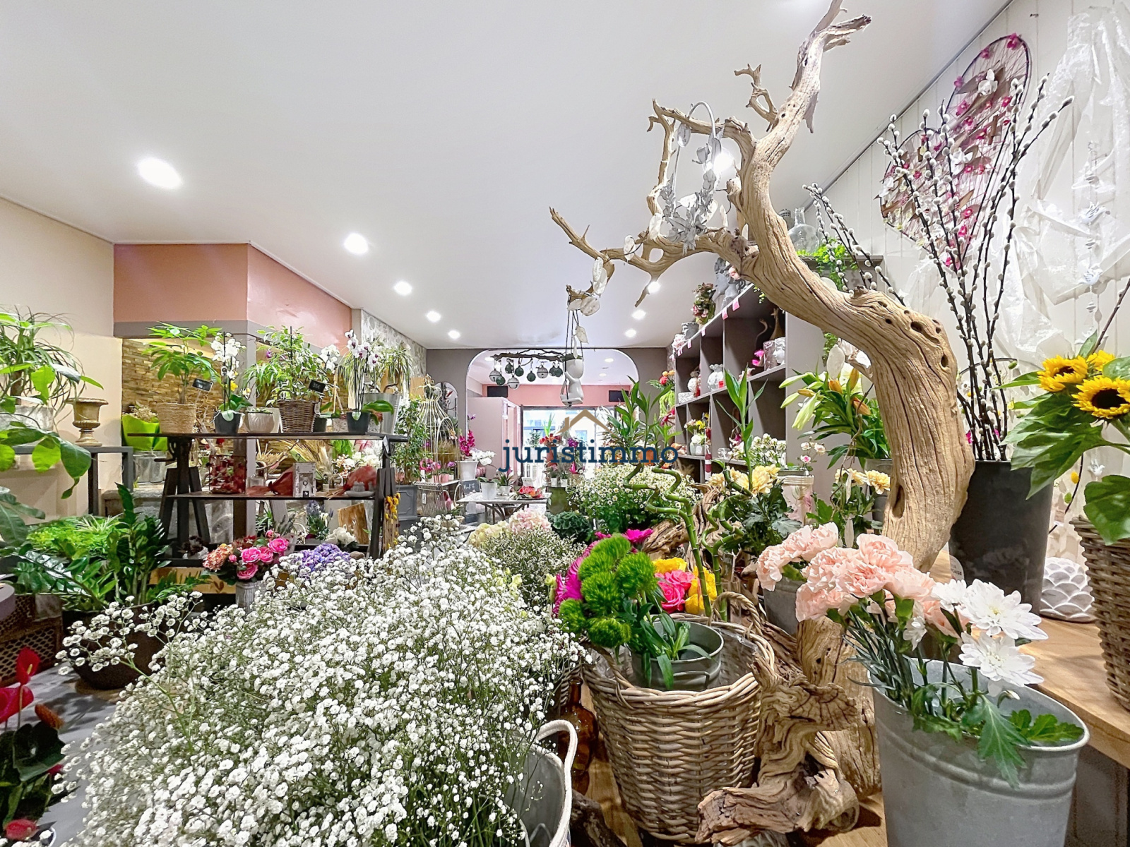 Image_4, Fonds de commerce, Nyons, ref :904