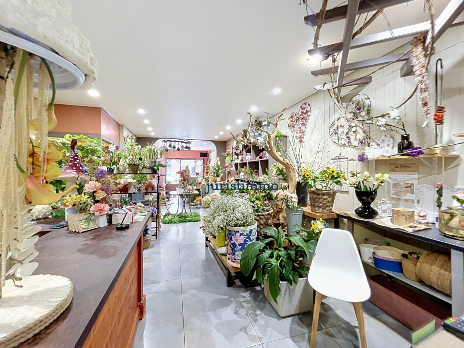 Image_6, Fonds de commerce, Nyons, ref :904
