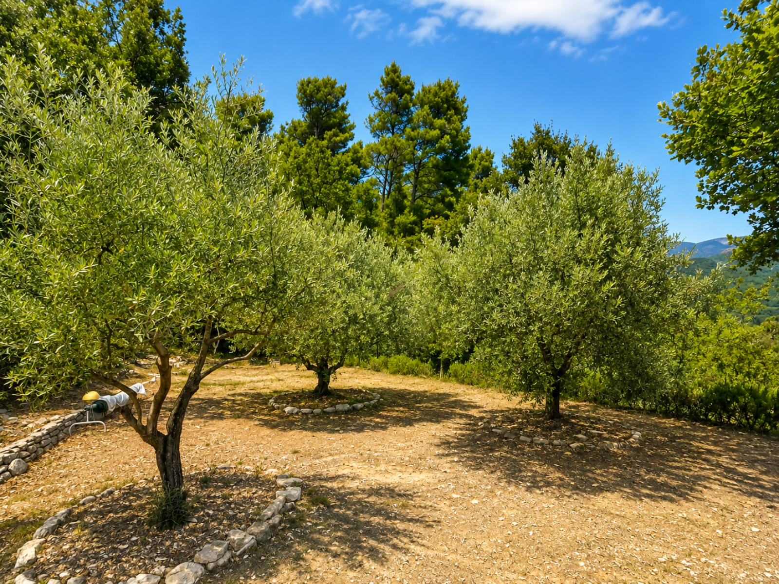 Image_5, Maison, Vaison-la-Romaine, ref :863