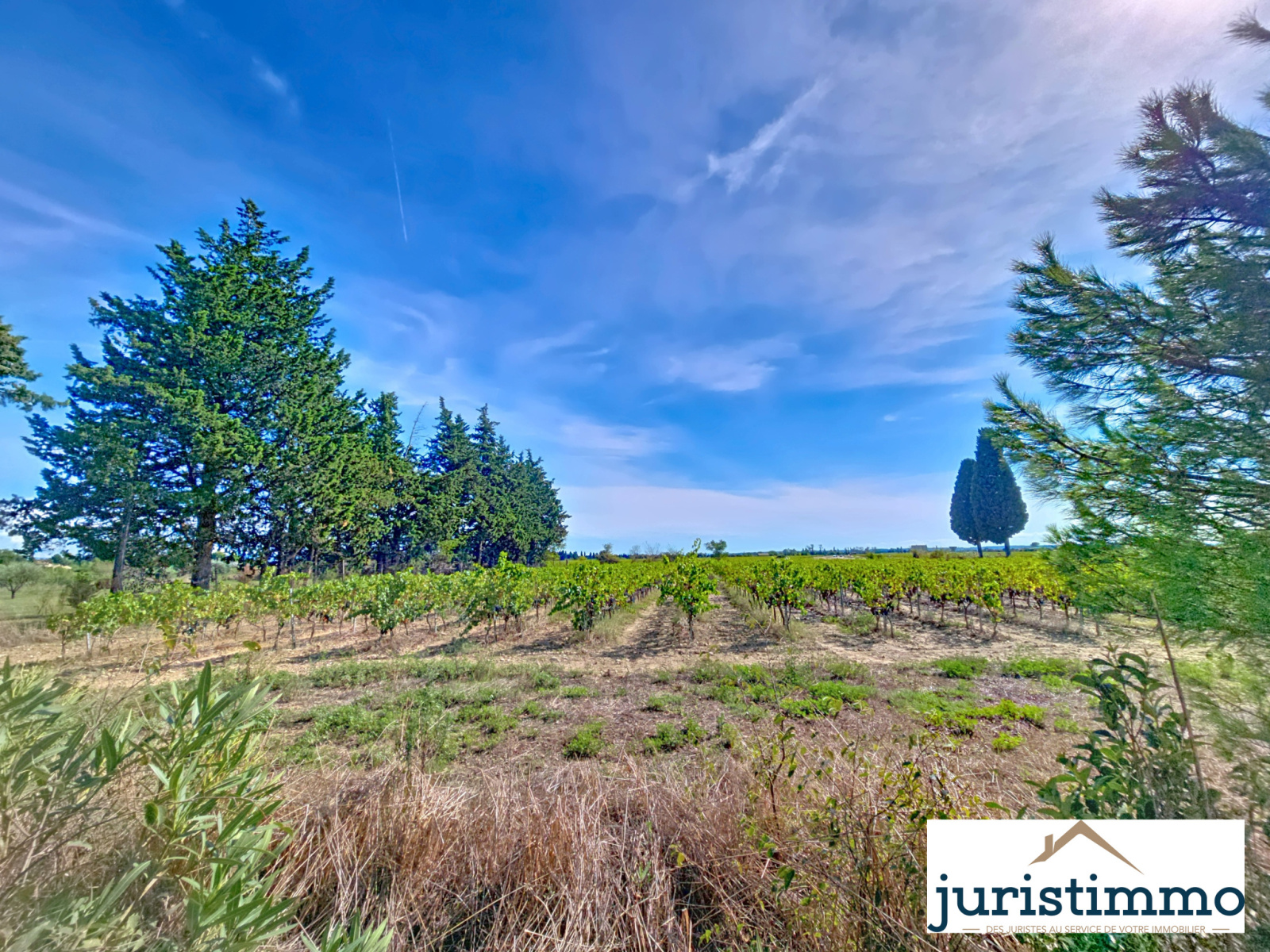 Image_24, Mas, Camaret-sur-Aigues, ref :41