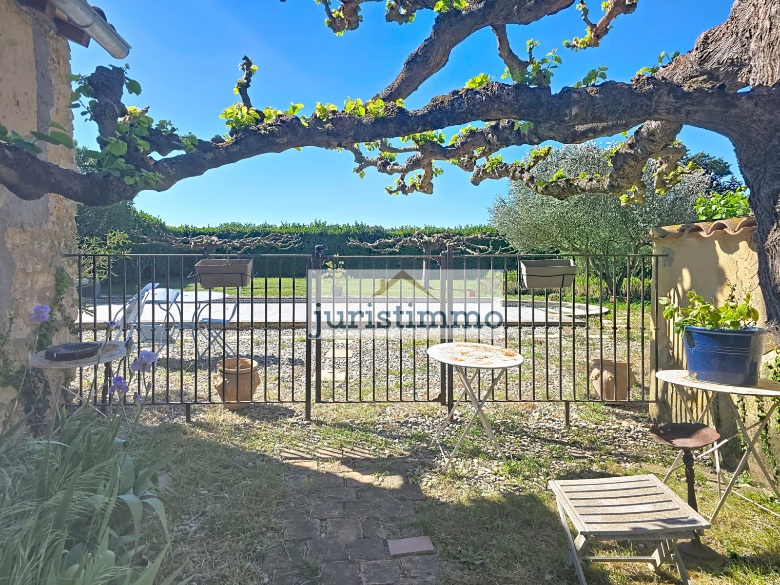 Image_33, Mas, Piolenc, ref :767