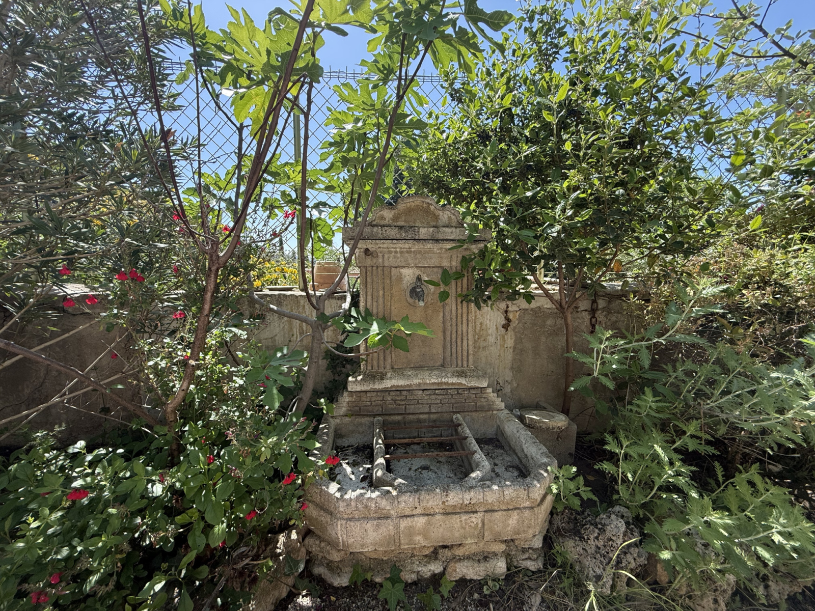 Image_4, Maison, Vaison-la-Romaine, ref :851
